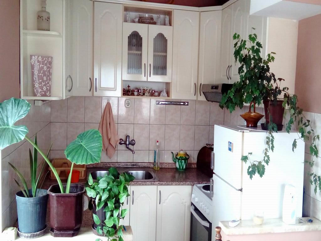 Apartment Luka 奥赫里德 客房 照片